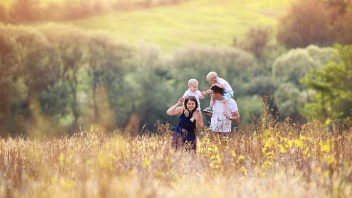 Mental Health Services Florida